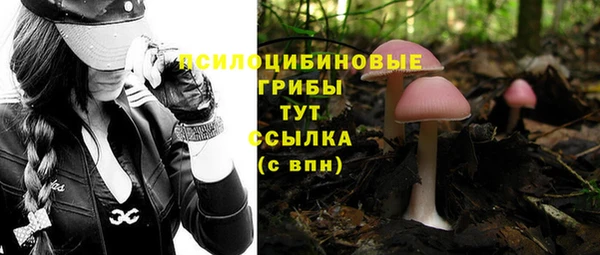соль курить ск Балабаново