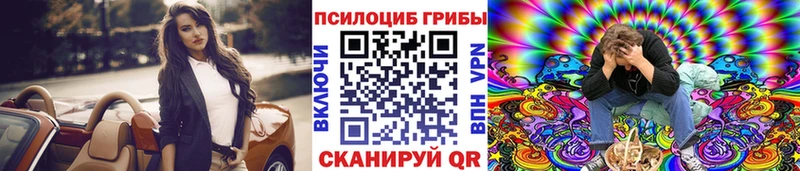 Купить  Ступино  Псилоцибиновые грибы Cubensis 